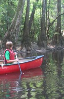 Canoeing at Congaree National Park