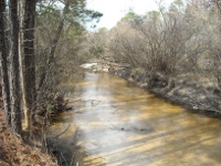 Jackson Creek