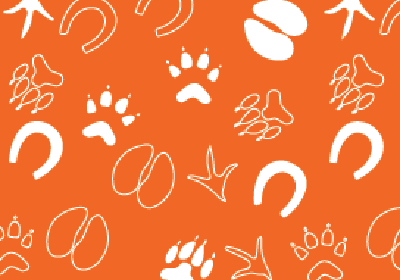 CVM Apple Watch Orange Pattern