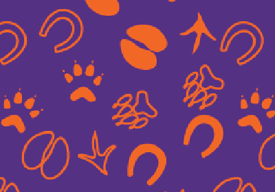 CVM Apple Watch Purple Pattern