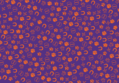 CVM Desktop Footprints Pattern