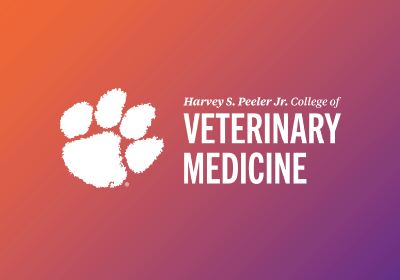 CVM Desktop Gradient