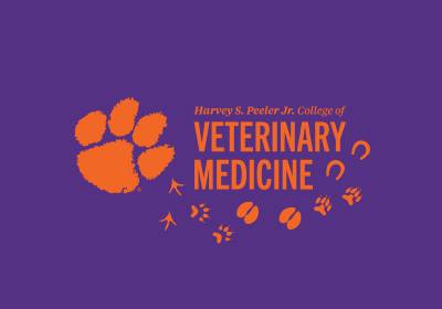 CVM Desktop Logo Footprints