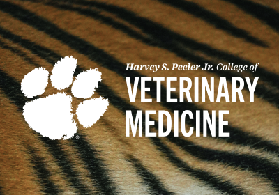 CVM Desktop Tiger Stripes