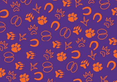 CVM Mobile Footprints Pattern