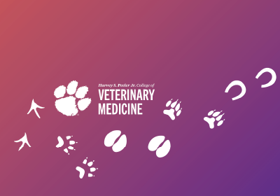 CVM Mobile Gradient Footbprints