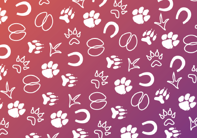 CVM Mobile Gradient Pattern