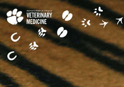 CVM Mobile Tiger and Footprints