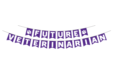 Future Vet Party Banner