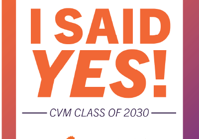 CVM Social Post I Said Yes