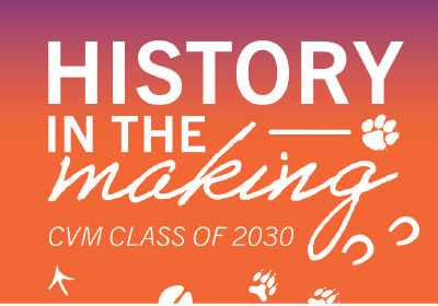 CVM Insta Story  History