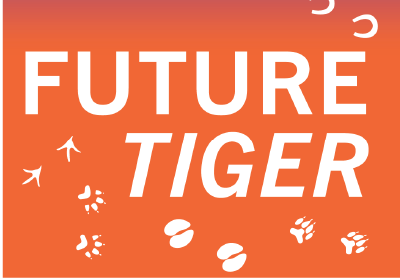 CVM Insta Story Future Tiger