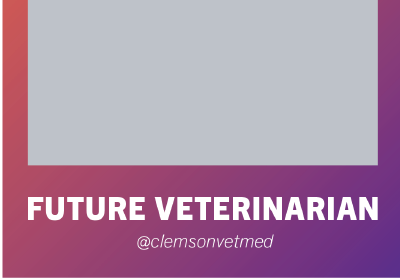 CVM Insta Story Future Vet