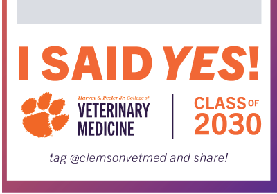 CVM Insta Story I Said Yes